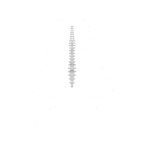 apex-logo